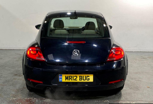 Bug beetle private - mr.,