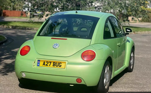 Bug beetle private number - bug,