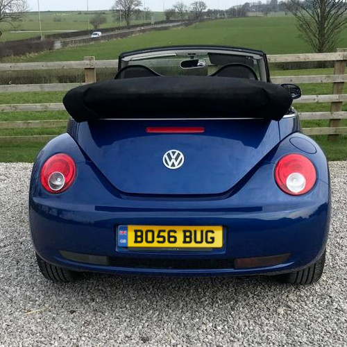 Boss bug beetle private - boss,