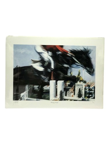 Paul van ginkel print - paul,