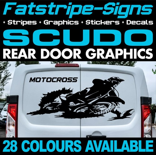 Fits fiat scudo graphics - fiat,