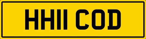 Cod fish van - van, rod