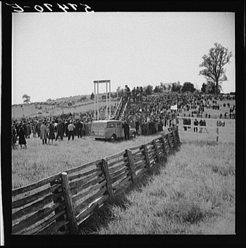 Photo warrenton virginia - photo:warrenton, horse