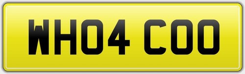 Pigeon racing van number plate - pigeon,
